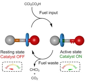 Graphical abstract for Dissipative Catalysis with a Molecular Machine